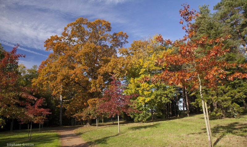 photo-automne-S.Grossin-1-2