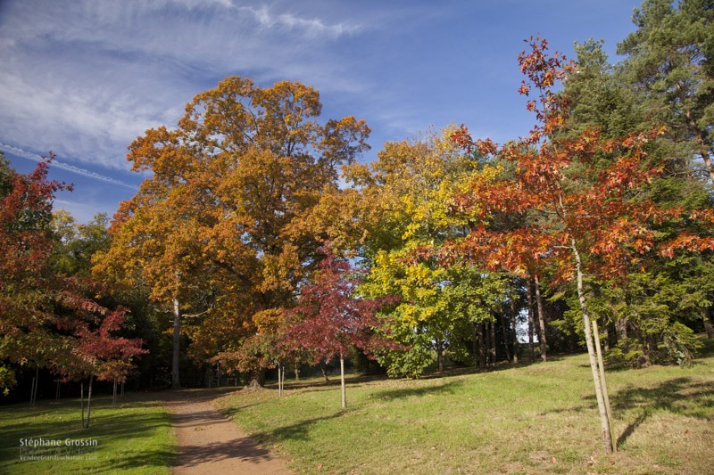 photo-automne-S.Grossin-1-2