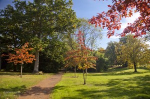 photo-automne-S.Grossin-1-3