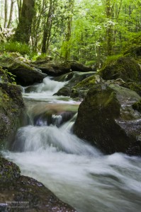 Cascade réalisée avec un trépied - © VENDÉE GRANDEUR NATURE