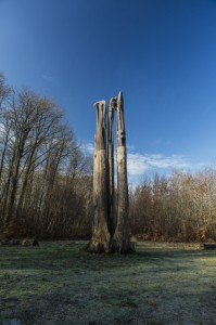 1/250e sec - F5,6 - 200 ISO Définir l'exposition d'une photo ou comment dompter la lumière ! 