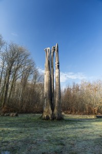 Définir l'exposition d'une photo ou comment dompter la lumière ! 