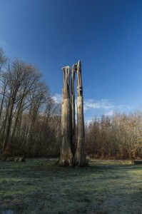 Définir l'exposition d'une photo ou comment dompter la lumière ! 