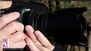 Voici la position recommandée des mains sur l'appareil photo reflex.