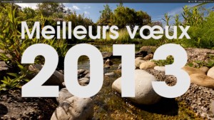 voeux2013