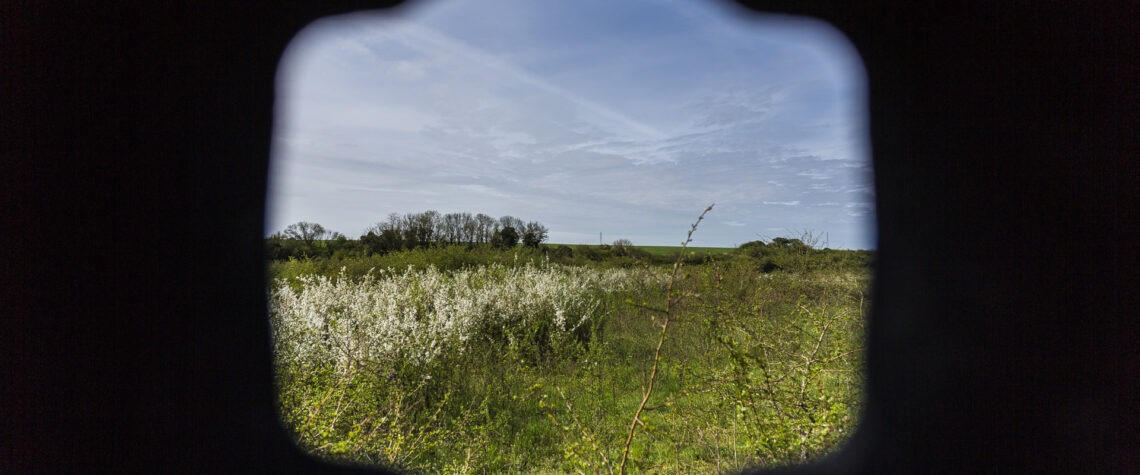 Vignettage du pare-soleil non adapté à la focale de l'objectif