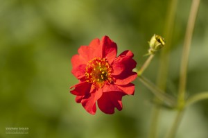 Photographie réalisée avec la mesure spot