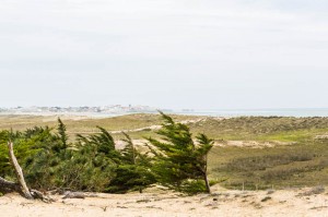 Trop de nuages et l'horizon est bien blanc…