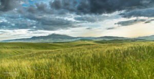 Paysage Toscane