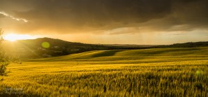 Paysage Toscane