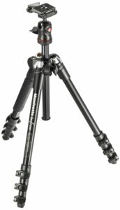 Manfrotto Befree 290B-F