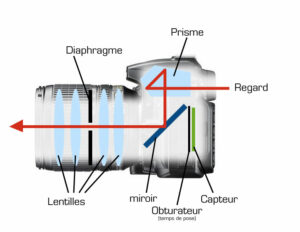 Voici le chemin emprunté par votre regard quand vous visez dans un appareil photo reflex.
