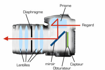 Voici le chemin emprunté par votre regard quand vous visez dans un appareil photo reflex.