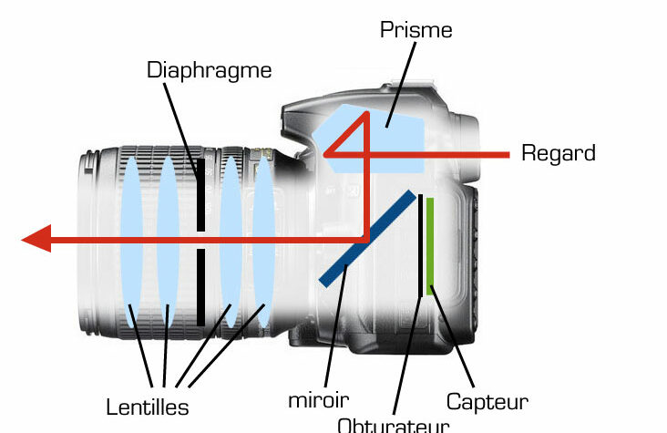 Voici le chemin emprunté par votre regard quand vous visez dans un appareil photo reflex.