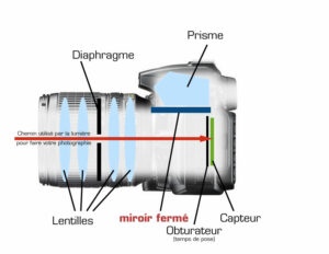 Voici le chemin emprunté par la lumière quand vous prenez une photo avec un appareil photo reflex.