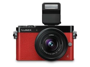 Lumix DMC GM5-FACE-FLASH