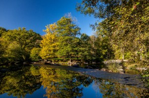 Comment réussir ses photos en rivière