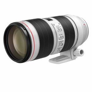 Voici un zoom téléobjectif 70-200 mm f/2,8