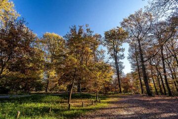 Réussir ses photos de paysages d'automne