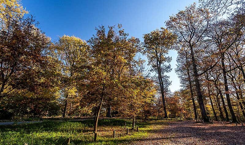 Réussir ses photos de paysages d'automne