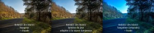 Balance des blancs et fichier RAW, car certains ont des problèmes pour apprivoiser la balance des blancs, avoir des images équilibrées au niveau des couleurs. Trouver une solution à ce problème est possible, on voit ça tout de suite…
