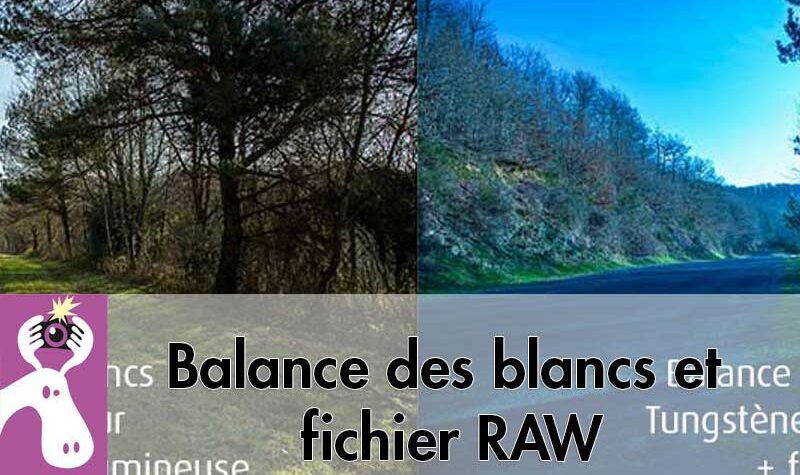 Balance-des-blancs-et-fichier-RAW