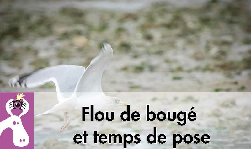 Flou de bougé et temps de pose