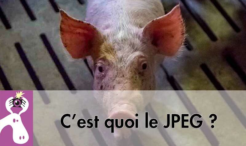 C'est quoi le JPEG ?