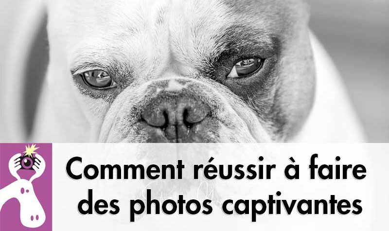 Comment réussir à faire des photos captivantes