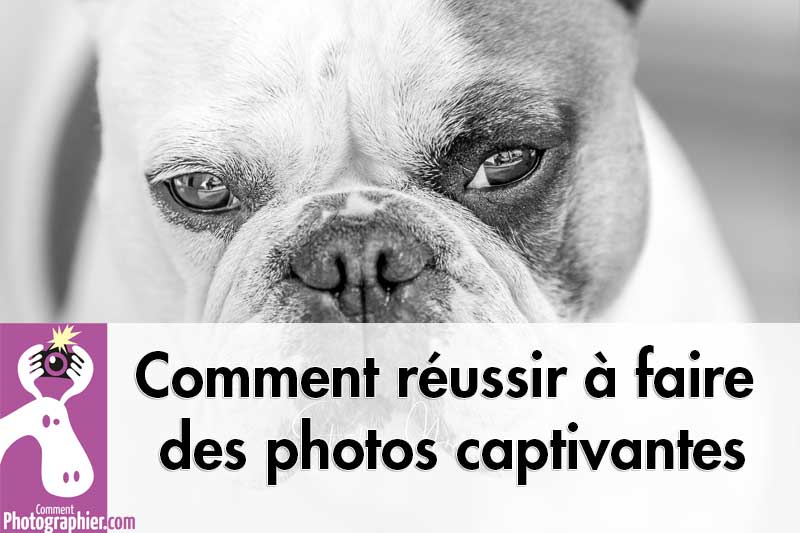 Comment réussir à faire des photos captivantes