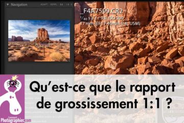 Qu’est-ce que le rapport de grossissement 1:1