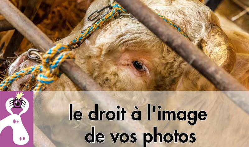 Petit rappel sur le droit à l'image de vos photos