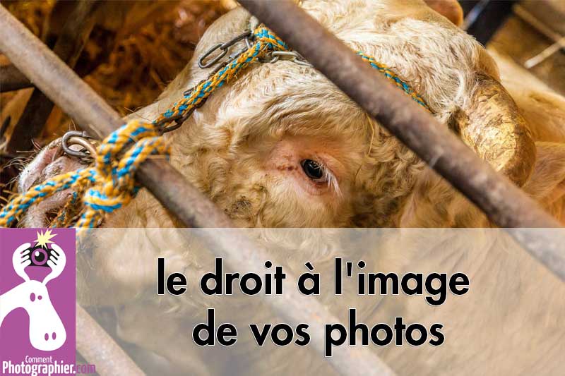 Petit rappel sur le droit à l'image de vos photos