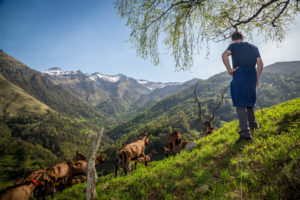 3 étapes importantes pour réussir vos photos de paysages