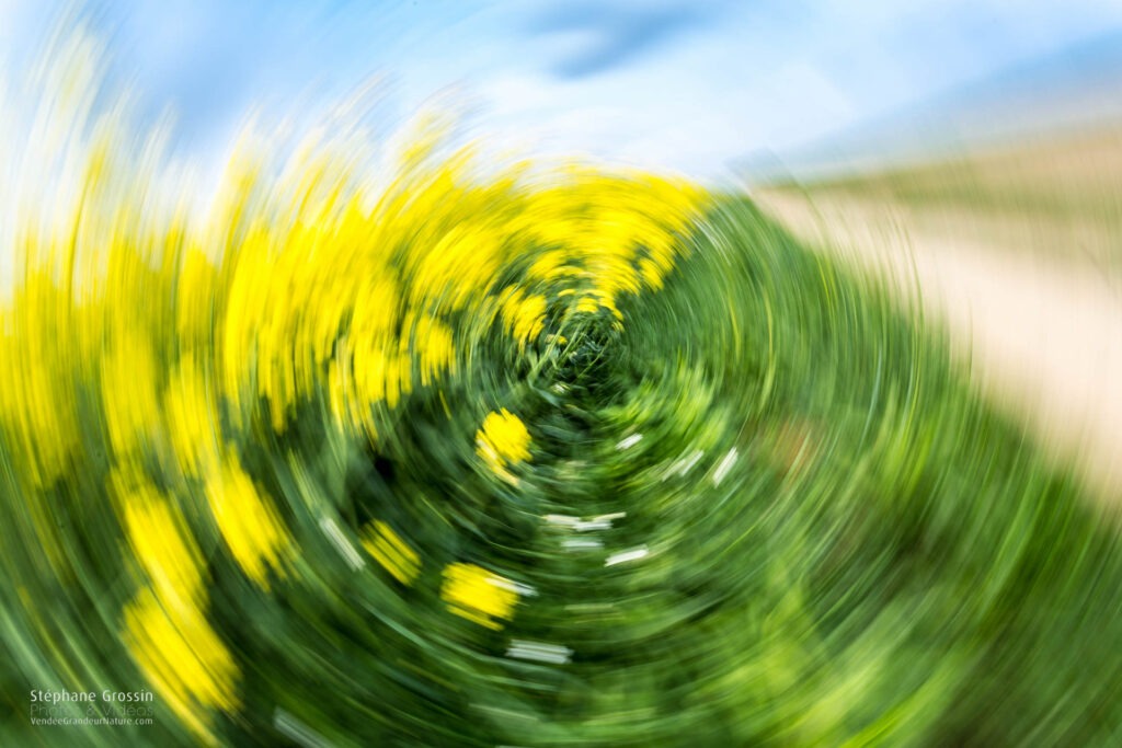 Image d'un champ de colza en fleur avec un effet de flou de bougé circulaire pour créer une atmosphère artistique.