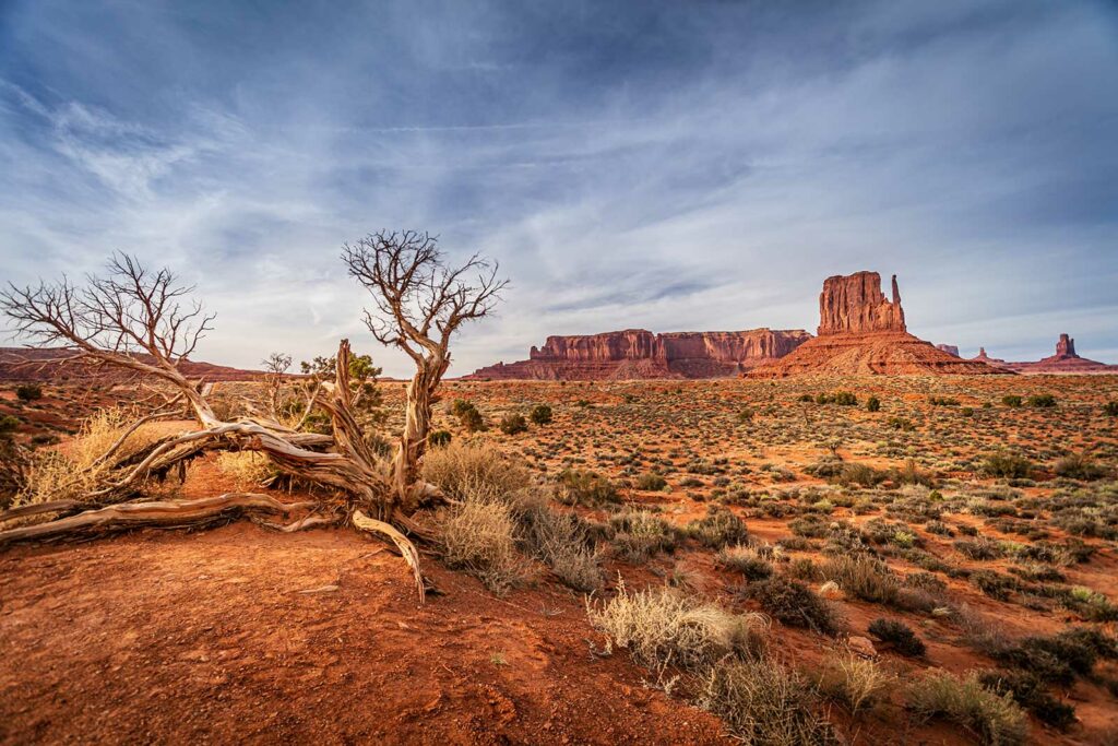 Photographie de paysage, point d'accroche.