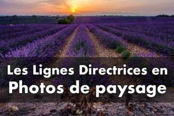 Exploiter les lignes directrices pour une composition captivante en photographie de paysage