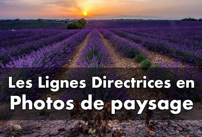 Exploiter les lignes directrices pour une composition captivante en photographie de paysage