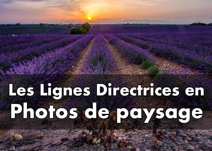 Exploiter les lignes directrices pour une composition captivante en photographie de paysage