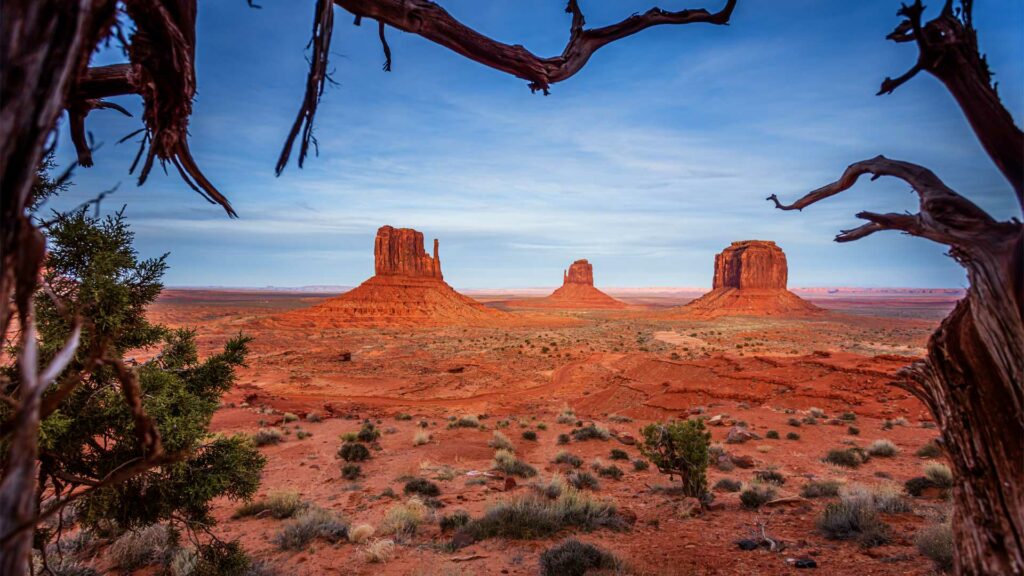 Voici une vue différente de Monument-Valley. J'ai descendu le petit promontoire où est le parking de Monument-Valley pour me placer dans ce buisson et avoir cette vue différente.