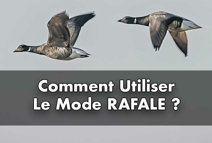 Le mode Rafale est idéal pour capturer une série de photos consécutives, que ce soit pour photographier des enfants en train de jouer, des animaux domestiques en mouvement, des événements sportifs, ou dans des situations où l'action est rapide et que l'on souhaite saisir un mouvement dynamique.