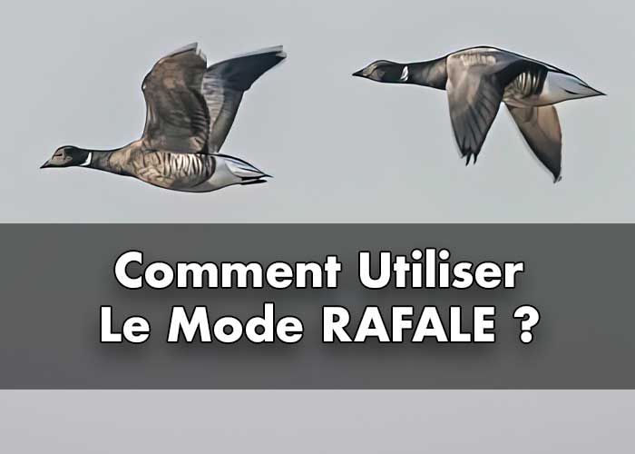 Le mode Rafale est idéal pour capturer une série de photos consécutives, que ce soit pour photographier des enfants en train de jouer, des animaux domestiques en mouvement, des événements sportifs, ou dans des situations où l'action est rapide et que l'on souhaite saisir un mouvement dynamique.